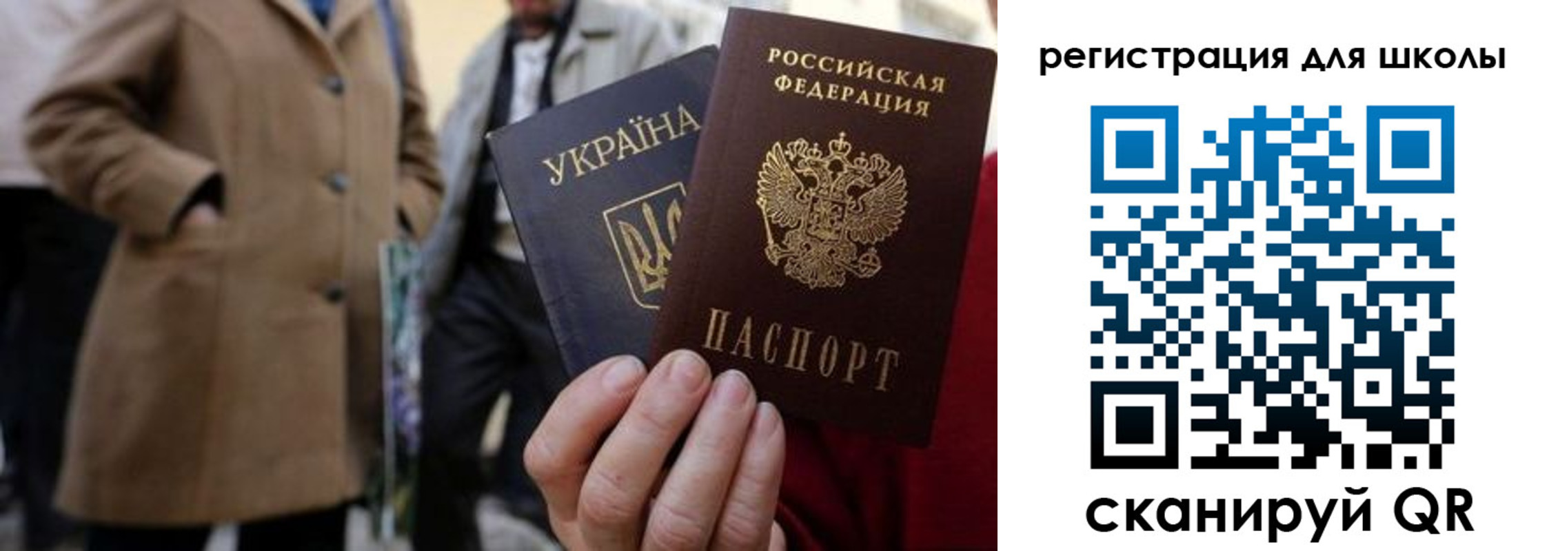 прописка поиск в Котово