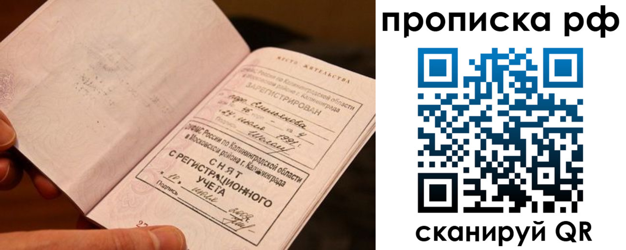 прописка гарантия в Котово